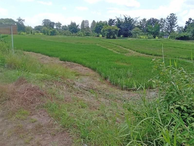 ที่ดินคอนสวรรค์ ชัยภูมิ, Chaiyaphum, Dong Bang, Khon San, Chaiyaphum, , 9,310 sqm, Land For Sale, by The Best Property ส้มโอ, 500620769 - DDproperty.com