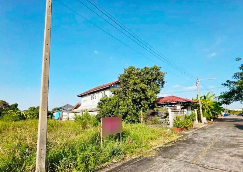 ที่ดินพุทธมณฑล นครปฐม, Nakhon Pathom, Khlong Yong, Phuttha Mon Thon, Nakhon Pathom, , 276 sqm, Land For Sale, by The Best Property รัก, 500620803 - DDproperty.com