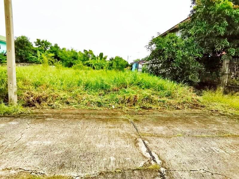 ที่ดินพุทธมณฑล นครปฐม, Nakhon Pathom, Khlong Yong, Phuttha Mon Thon, Nakhon Pathom, , 276 sqm, Land For Sale, by The Best Property รัก, 500620803 - DDproperty.com