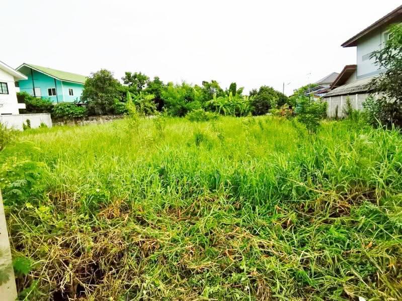 ที่ดินพุทธมณฑล นครปฐม, นครปฐม, คลองโยง, พุทธมณฑล, นครปฐม, 276 ตร.ม., ที่ดิน ขาย, โดย The Best Property รัก, 500620803 - DDproperty.com