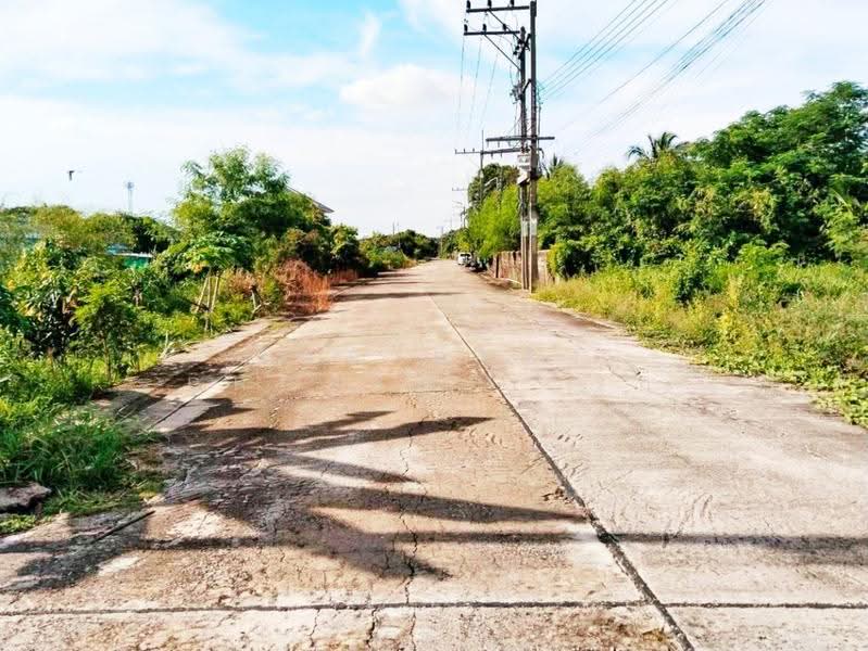ที่ดินพุทธมณฑล นครปฐม, Nakhon Pathom, Khlong Yong, Phuttha Mon Thon, Nakhon Pathom, , 276 sqm, Land For Sale, by The Best Property รัก, 500620803 - DDproperty.com