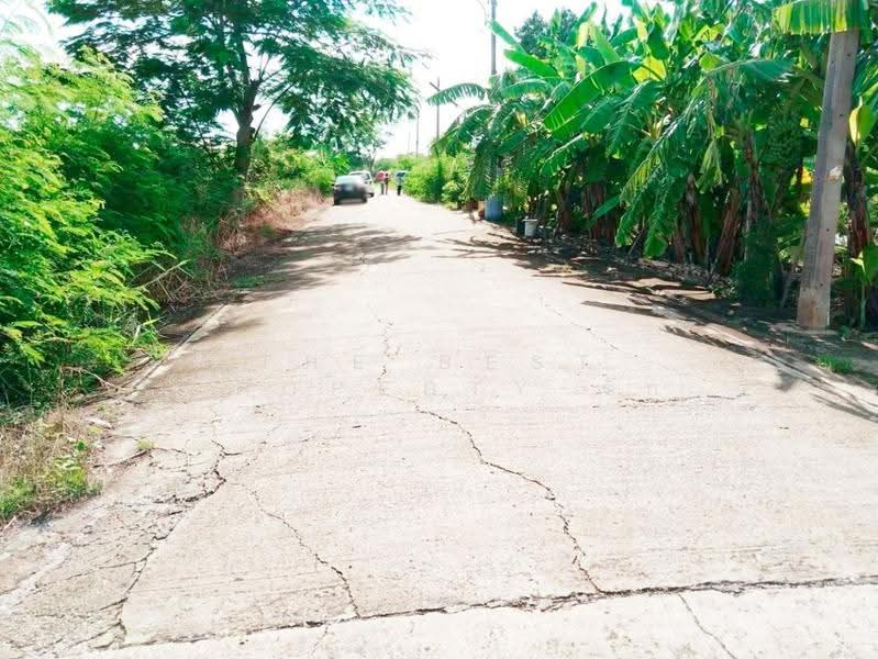 ที่ดินพุทธมณฑล นครปฐม, Nakhon Pathom, Khlong Yong, Phuttha Mon Thon, Nakhon Pathom, , 276 sqm, Land For Sale, by The Best Property รัก, 500620803 - DDproperty.com
