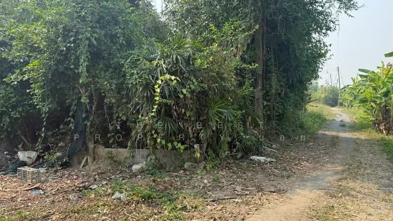 ที่ดินสารภี เชียงใหม่, เชียงใหม่, ขัวมุง, สารภี, เชียงใหม่, 332 ตร.ม., ที่ดิน ขาย, โดย The Best Property บอย, 500620956 - DDproperty.com