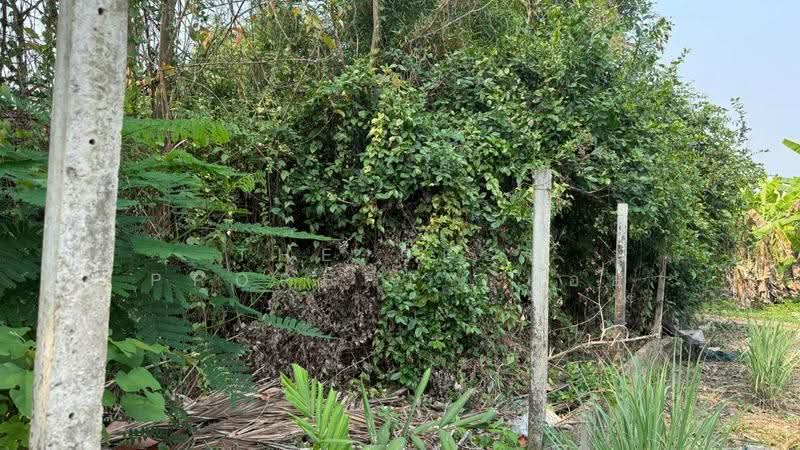 ที่ดินสารภี เชียงใหม่, Chiang Mai, Kho Muong, Saraphi, Chiang Mai, , 332 sqm, Land For Sale, by The Best Property บอย, 500620956 - DDproperty.com