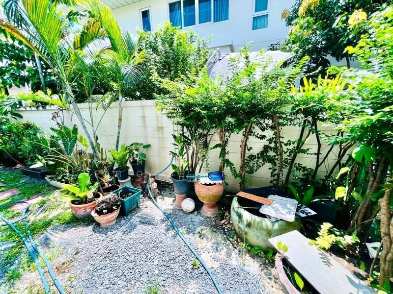 ศุภาลัย การ์เด้นวิลล์ ประชาอุทิศ-สุขสวัสดิ์, Samut Prakan, Bang Chak, Phra Pra Daeng, Samut Prakan, 4 Bedrooms, 100 sqm, Single Detached House For Sale, by The Best Property ปู, 500620991 - DDproperty.com