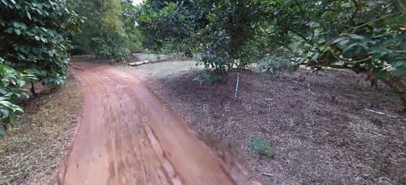 ที่ดินแกลง ระยอง, Rayong, Klaeng, Muang Rayong, Rayong, , 16,998 sqm, Land For Sale, by The Best Property นฐา, 500621062 - DDproperty.com