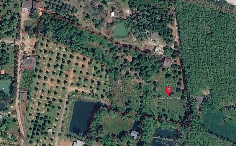 ที่ดินแกลง ระยอง, Rayong, Klaeng, Muang Rayong, Rayong, , 16,998 sqm, Land For Sale, by The Best Property นฐา, 500621062 - DDproperty.com