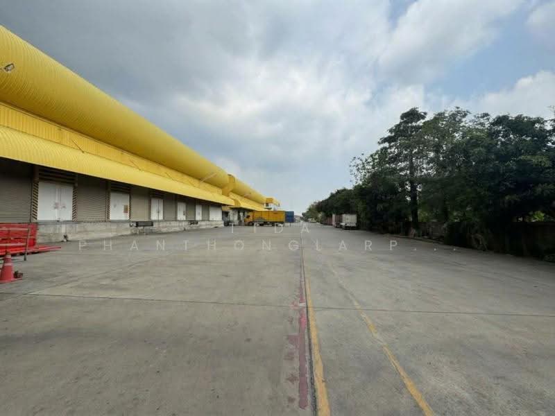ให้เช่า โกดังพร้อมสำนักงาน พัฒนาชนบท 3 (Phatthanachonbot 3) 2,000 ตร.ม., Bangkok, Khlong Song Ton Nun, Lat Krabang, Bangkok, , 2,000 sqm, Warehouse/Factory For Rent, by Tida phanthonglarptawee, 500621406 - DDproperty.com