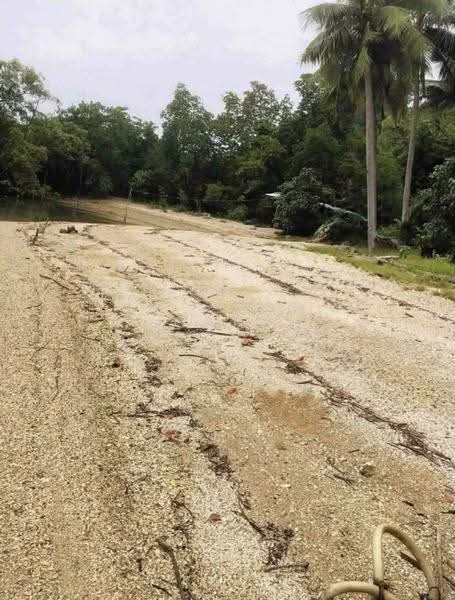 Private Island Pangnga, Phangnga, -, Khlong Khian, Takua Thung, Phangnga, , 27,200 sqm, Land For Sale, by Connex Property, 500621477 - DDproperty.com