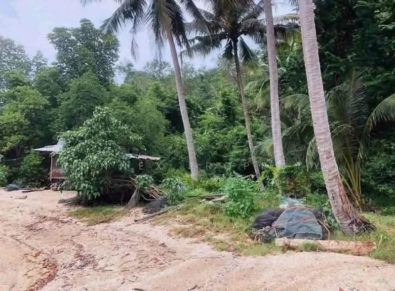 Private Island Pangnga, Phangnga, -, Khlong Khian, Takua Thung, Phangnga, , 27,200 sqm, Land For Sale, by Connex Property, 500621477 - DDproperty.com