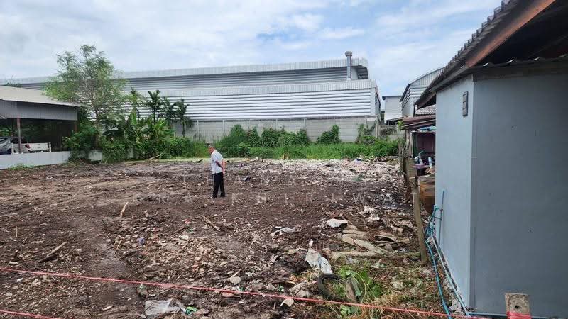 ขายที่ดินเปล่า ซอยไอยรา 17 คลองหลวง, ปทุมธานี, คลองสอง, คลองหลวง, ปทุมธานี, 800 ตร.ม., ที่ดิน ขาย, โดย Thananit Kraikhiriwat, 500621590 - DDproperty.com