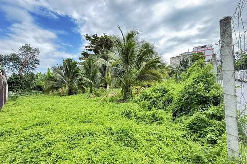 ซอยจรัญสนิทวงศ์ 25, Bangkok, ถนนจรัญสนิทวงศ์, Bang Khun Sri, Bangkok Noi, Bangkok, , 4,496 sqm, Land For Sale, by คุณหนึ่ง, 500621731 - DDproperty.com