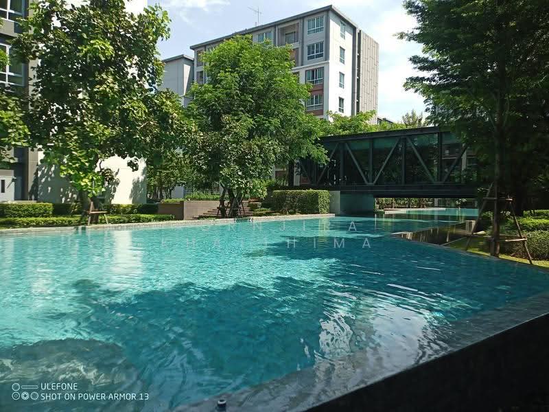 Dcondo Ping : ดีคอนโดพิงค์, เชียงใหม่, 243 ถ. ซุปเปอร์ไฮเวย์ เชียงใหม่-ลำปาง, ฟ้าฮ่าม, เมืองเชียงใหม่, เชียงใหม่, 37 ตร.ม., คอนโด ให้เช่า, โดย Aornjira Khatthima, 500621972 - DDproperty.com