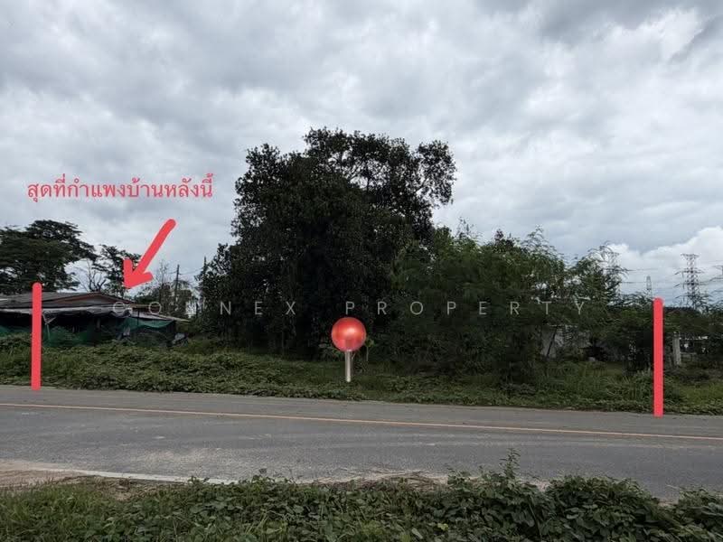 For Sale Land size: 252 sq.wah Prime location near British International School Phuket (BISP)., Phuket, -, Ko Kaeo, Muang Phuket, Phuket, , 2,608 sqm, Land For Sale, by Connex Property, 500622171 - DDproperty.com