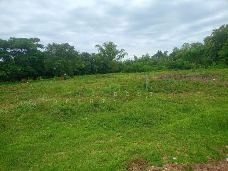 ที่ดินน้ำพอง ขอนแก่น, ขอนแก่น, น้ำพอง, ขอนแก่น, 788 ตร.ม., ที่ดิน ขาย, โดย The Best Property ส้มโอ, 500622263 - DDproperty.com