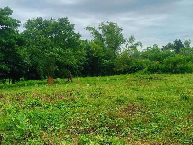 ที่ดินน้ำพอง ขอนแก่น, ขอนแก่น, น้ำพอง, ขอนแก่น, 788 ตร.ม., ที่ดิน ขาย, โดย The Best Property ส้มโอ, 500622263 - DDproperty.com