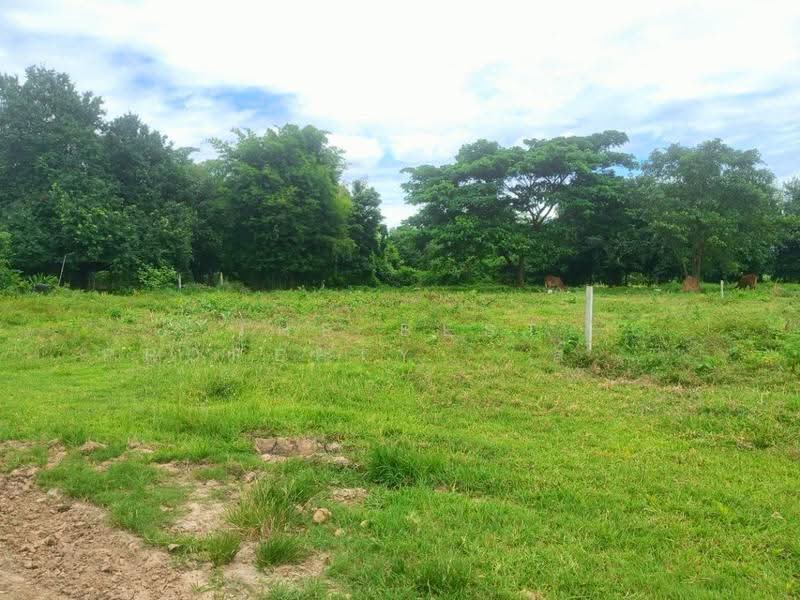 ที่ดินน้ำพอง ขอนแก่น, ขอนแก่น, น้ำพอง, ขอนแก่น, 788 ตร.ม., ที่ดิน ขาย, โดย The Best Property ส้มโอ, 500622263 - DDproperty.com