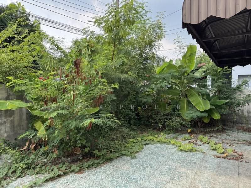 หมู่บ้าน 2521 สวนผัก 44, กรุงเทพ, พุทธมณฑล สาย 1, ฉิมพลี, ตลิ่งชัน, กรุงเทพ, 150 ตร.ม., บ้านเดี่ยว ขาย, โดย Connex Property, 500622327 - DDproperty.com