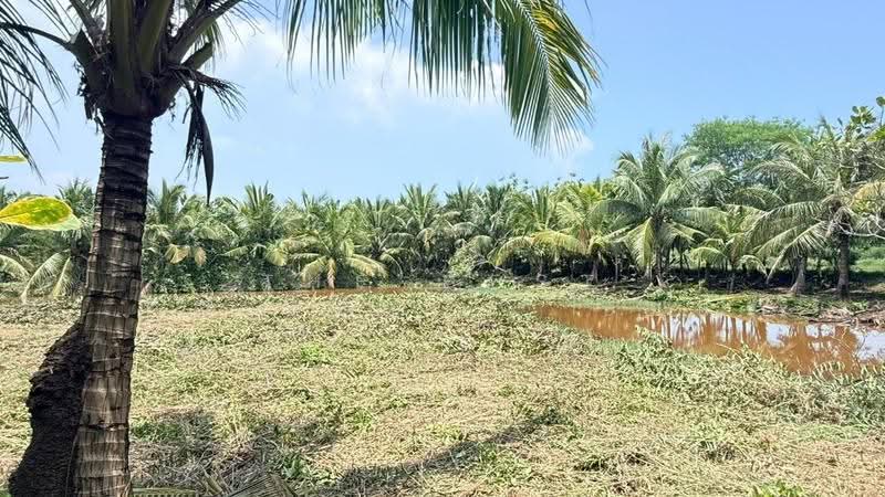 ที่ดินหัวไทร นครศรีธรรมราช, Nakhon Si Thammarat, Na Saton, Hua Sai, Nakhon Si Thammarat, , 9,501 sqm, Land For Sale, by The Best Property อ้อย, 500622486 - DDproperty.com