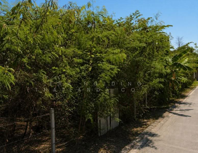 สายไหม สายไหม, Bangkok, Sai Mai, Bangkok, , 1,424 sqm, Land For Sale, by ERA Holding (Thailand) Co., Ltd., 500622550 - DDproperty.com
