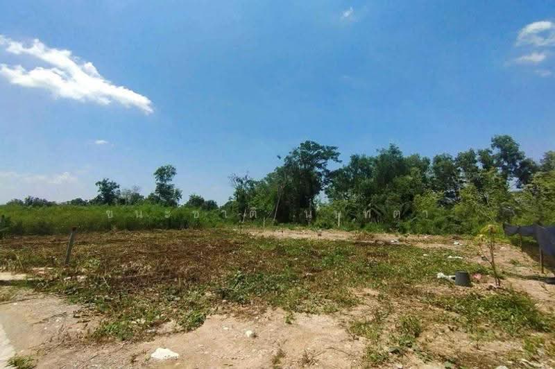 ซอยศรีฟ้า ธัญบุรีคลอง 14, ปทุมธานี, บึงน้ำรักษ์, ธัญบุรี, ปทุมธานี, 400 ตร.ม., ที่ดิน ขาย, โดย ชนะชาติ นนท์ตา, 500622611 - DDproperty.com