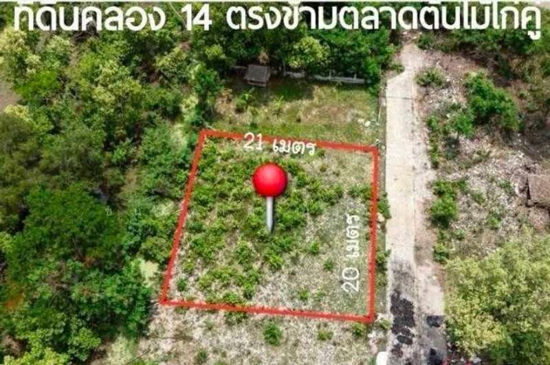 ซอยศรีฟ้า ธัญบุรีคลอง 14, ปทุมธานี, บึงน้ำรักษ์, ธัญบุรี, ปทุมธานี, 400 ตร.ม., ที่ดิน ขาย, โดย ชนะชาติ นนท์ตา, 500622611 - DDproperty.com