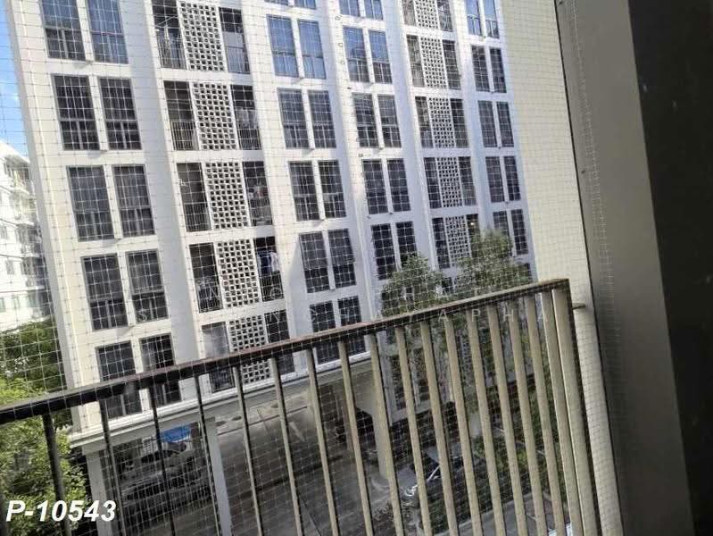 Chambers On-Nut Station, Bangkok, Soi Sukhumvit 81, Sukhumvit Road, Phra Kanong Nua, Watthana, Bangkok, 2 Bedrooms, 35 sqm, Condo For Rent, by Nichaphat Sakunchayapha, 500622749 - DDproperty.com