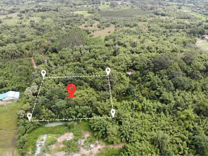 ที่ดินประจันตคาม ปราจีนบุรี, Prachin Buri, Nong Saeng, Prachantakham, Prachin Buri, , 4,672 sqm, Land For Sale, by The Best Property โมทย์, 500622995 - DDproperty.com