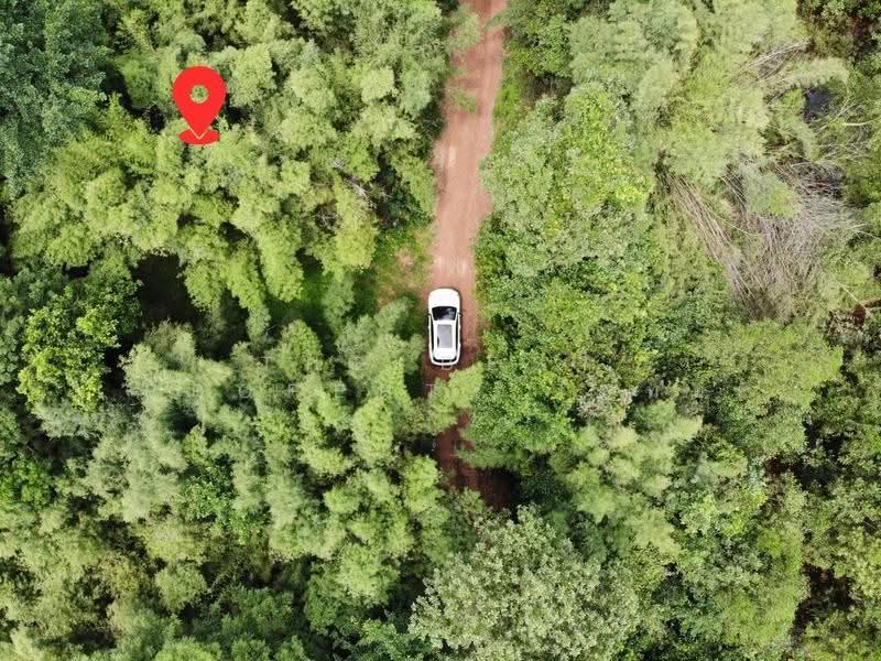 ที่ดินประจันตคาม ปราจีนบุรี, Prachin Buri, Nong Saeng, Prachantakham, Prachin Buri, , 4,672 sqm, Land For Sale, by The Best Property โมทย์, 500622995 - DDproperty.com