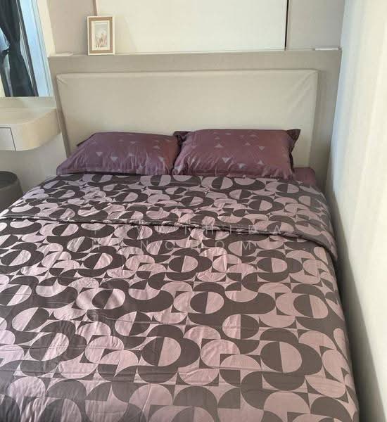 Aspire Onnut Station, Bangkok, Sukhumvit Road, Phra Kanong, Khlong Toei, Bangkok, 1 Bedroom, 31 sqm, Condo For Rent, by Piyathida Phanchomphu, 500623071 - DDproperty.com