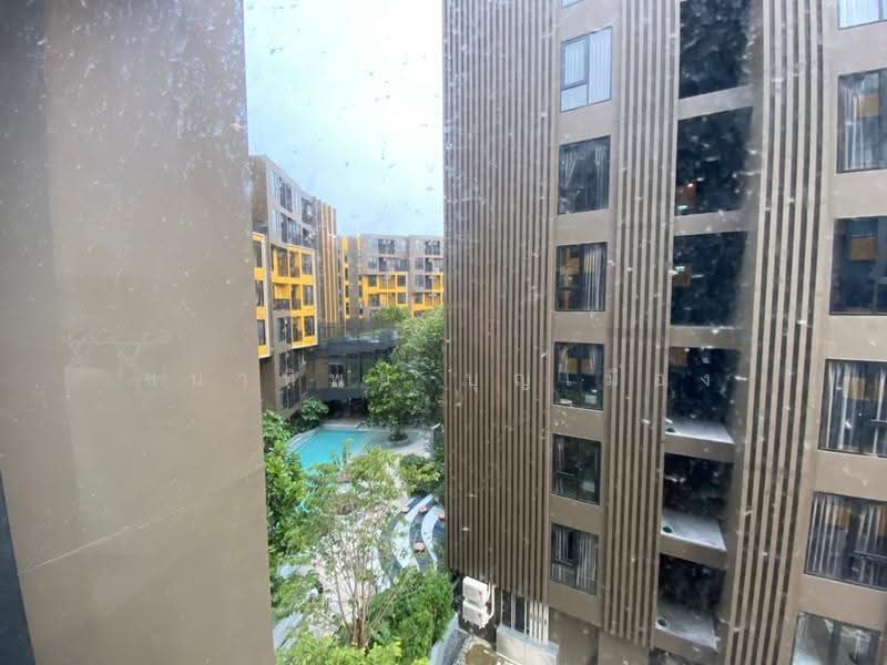 The Base Central, Phuket, Chao Fah Tawan Tok Rd, Wichit, Muang Phuket, Phuket, Studio, 25 sqm, Condo For Rent, by Chanatip Boonmuang, 500623124 - DDproperty.com