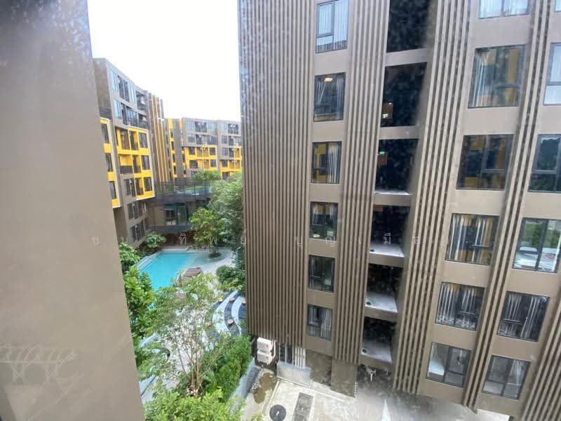 The Base Central, Phuket, Chao Fah Tawan Tok Rd, Wichit, Muang Phuket, Phuket, Studio, 25 sqm, Condo For Rent, by Chanatip Boonmuang, 500623124 - DDproperty.com
