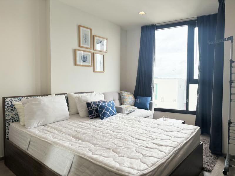 The Base Central, Phuket, Chao Fah Tawan Tok Rd, Wichit, Muang Phuket, Phuket, Studio, 26 sqm, Condo For Rent, by Chanatip Boonmuang, 500623148 - DDproperty.com