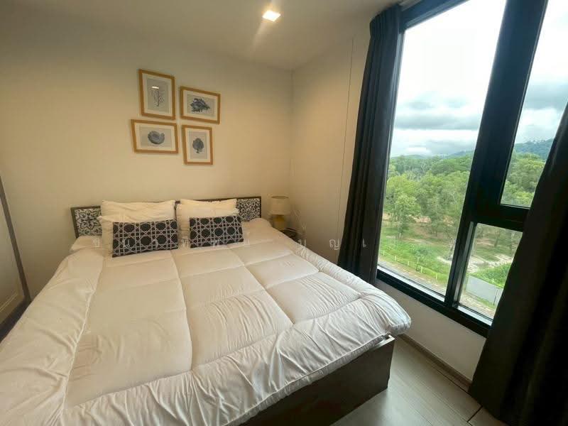 The Base Central, Phuket, Chao Fah Tawan Tok Rd, Wichit, Muang Phuket, Phuket, 2 Bedrooms, 47 sqm, Condo For Rent, by Chanatip Boonmuang, 500623202 - DDproperty.com