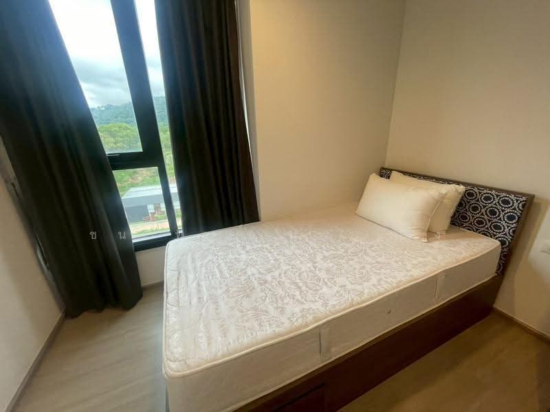 The Base Central, Phuket, Chao Fah Tawan Tok Rd, Wichit, Muang Phuket, Phuket, 2 Bedrooms, 47 sqm, Condo For Rent, by Chanatip Boonmuang, 500623202 - DDproperty.com