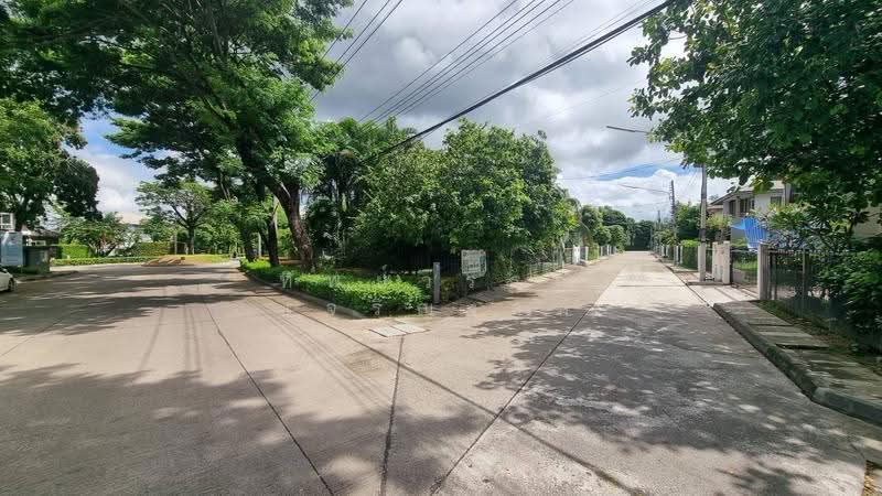 Siwalee Khok Kruat, Nakhon Ratchasima, มิตรภาพ, Nai Muang, Muang Nakhon Ratchasima, Nakhon Ratchasima, 4 Bedrooms, 250 sqm, Single Detached House For Sale, by Tippawan Charoengam, 500623437 - DDproperty.com