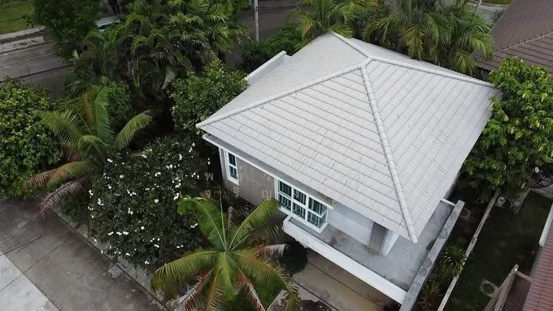 Siwalee Khok Kruat, Nakhon Ratchasima, มิตรภาพ, Nai Muang, Muang Nakhon Ratchasima, Nakhon Ratchasima, 4 Bedrooms, 250 sqm, Single Detached House For Sale, by Tippawan Charoengam, 500623437 - DDproperty.com