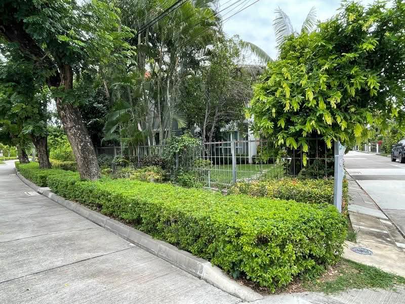 Siwalee Khok Kruat, Nakhon Ratchasima, มิตรภาพ, Nai Muang, Muang Nakhon Ratchasima, Nakhon Ratchasima, 4 Bedrooms, 250 sqm, Single Detached House For Sale, by Tippawan Charoengam, 500623437 - DDproperty.com