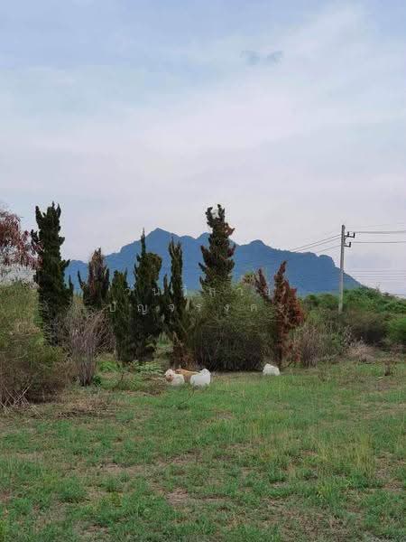 WPDD ขายที่ดินกลางดง เนินกลางดง อำเภอปากช่อง, Nakhon Ratchasima, Phyayen, Pak Chong, Nakhon Ratchasima, , 5,076 sqm, Land For Sale, by วันวิสาข์ ปัญจรงคะ, 500623441 - DDproperty.com