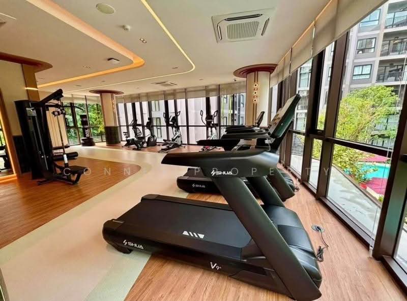 THE Base Cherngtalay, Phuket, Choeng Thale, Thalang, Phuket, 2 Bedrooms, 62 sqm, Condo For Rent, by Connex Property, 500623737 - DDproperty.com