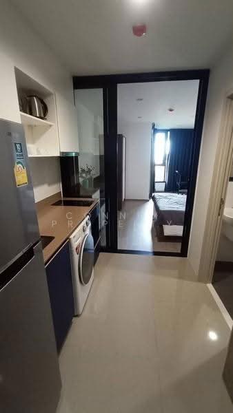 The Base Central, Phuket, Chao Fah Tawan Tok Rd, Wichit, Muang Phuket, Phuket, 1 Bedroom, 28 sqm, Condo For Rent, by Connex Property, 500623738 - DDproperty.com