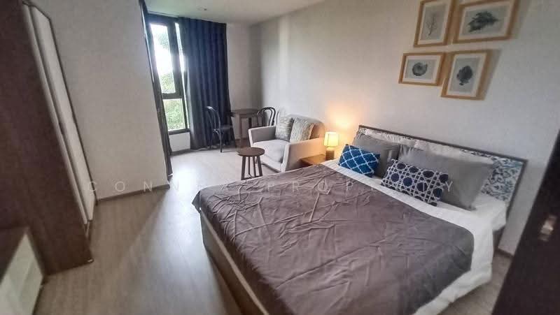 The Base Central, Phuket, Chao Fah Tawan Tok Rd, Wichit, Muang Phuket, Phuket, 1 Bedroom, 28 sqm, Condo For Rent, by Connex Property, 500623738 - DDproperty.com