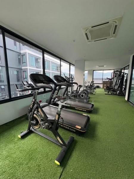 ReLife The Windy, Phuket, 15 200 Soi 1, Rawai, Muang Phuket, Phuket, 1 Bedroom, 30 sqm, Condo For Rent, by Connex Property, 500623755 - DDproperty.com
