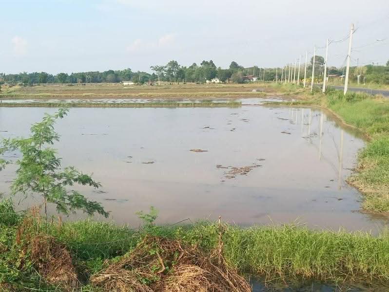 ที่ดินฆะมัง พิจิตร, Phichit, Kha Mang, Muang Phichit, Phichit, , 19,738 sqm, Land For Sale, by The Best Property เซียวเหล่งนึ่ง, 500623885 - DDproperty.com