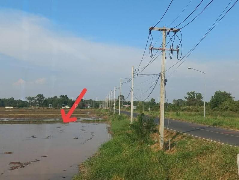 ที่ดินฆะมัง พิจิตร, Phichit, Kha Mang, Muang Phichit, Phichit, , 19,738 sqm, Land For Sale, by The Best Property เซียวเหล่งนึ่ง, 500623885 - DDproperty.com
