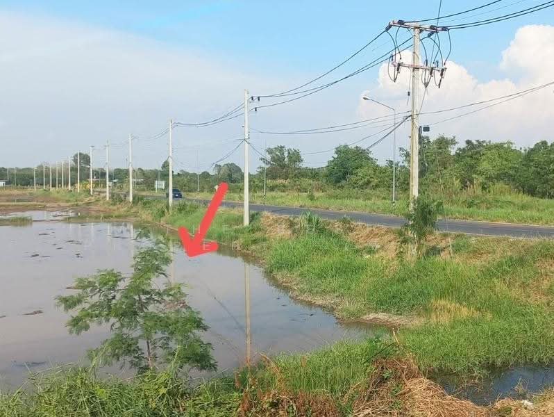 ที่ดินฆะมัง พิจิตร, Phichit, Kha Mang, Muang Phichit, Phichit, , 19,738 sqm, Land For Sale, by The Best Property เซียวเหล่งนึ่ง, 500623885 - DDproperty.com