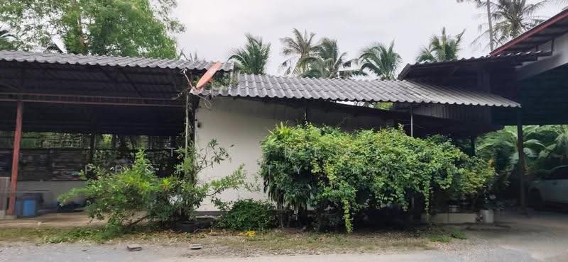 โกดังพร้อมที่ดินบ้านโป่ง ราชบุรี, Ratchaburi, Tha Pha, Ban Pong, Ratchaburi, , 200 sqm, Warehouse/Factory For Sale, by The Best Property น้ำหวาน, 500623903 - DDproperty.com