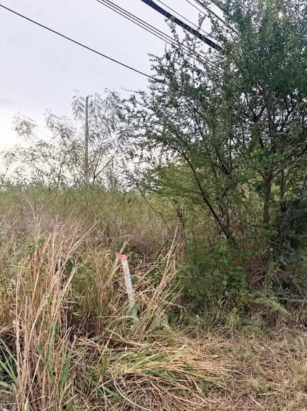 ที่ดินสามร้อยยอด ประจวบคีรีขันธ์, Prachuap Khiri Khan, Silaloi, Sam Roi Yot, Prachuap Khiri Khan, , 3,200 sqm, Land For Sale, by The Best Property ของขวัญ, 500623924 - DDproperty.com