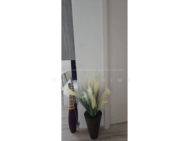The Base Downtown, Phuket, Wichit Songkhram, Wichit, Muang Phuket, Phuket, 2 Bedrooms, 50 sqm, Condo For Rent, by Case Prime, 500623926 - DDproperty.com