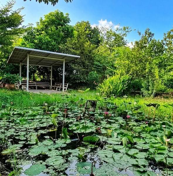 บ้านเดี่ยวบางไทร อยุธยา, Phra Nakhon Si Ayutthaya, Phai Phra, Bang-Sai, Phra Nakhon Si Ayutthaya, Studio, 250 sqm, Single Detached House For Sale, by Thanitcha Kangkasuwanno, 500623937 - DDproperty.com